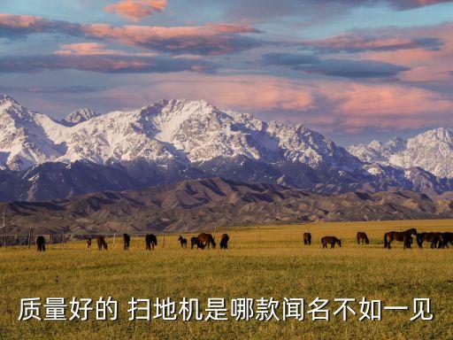 質(zhì)量好的 掃地機(jī)是哪款聞名不如一見