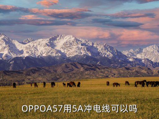 oppoa57的數(shù)據(jù)線,OPPOA57數(shù)據(jù)線