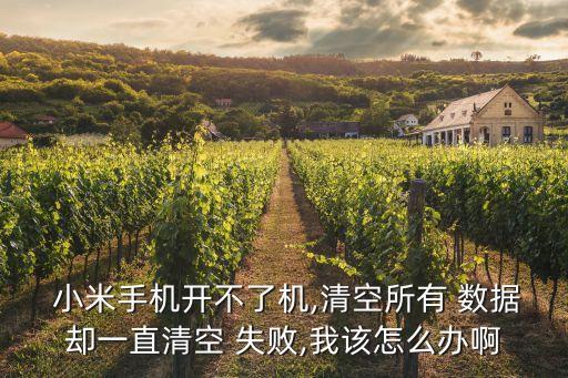  小米手機(jī)開不了機(jī),清空所有 數(shù)據(jù)卻一直清空 失敗,我該怎么辦啊