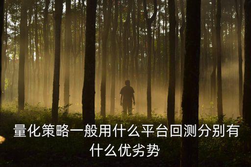  量化策略一般用什么平臺回測分別有什么優(yōu)劣勢