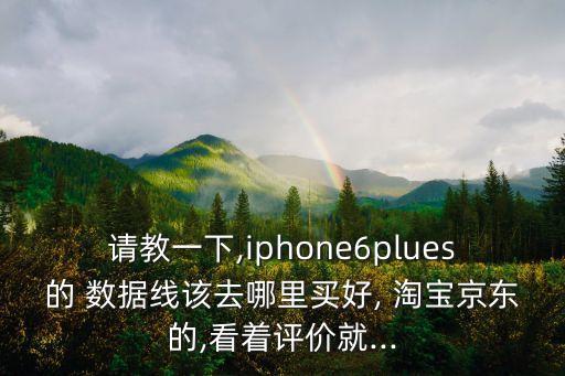 請教一下,iphone6plues的 數(shù)據(jù)線該去哪里買好, 淘寶京東的,看著評價(jià)就...
