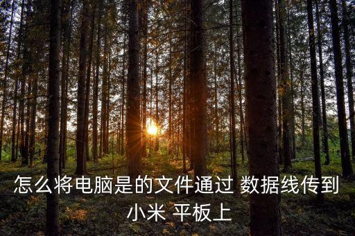 怎么將電腦是的文件通過 數(shù)據(jù)線傳到 小米 平板上