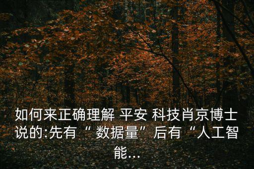 如何來(lái)正確理解 平安 科技肖京博士說(shuō)的:先有“ 數(shù)據(jù)量”后有“人工智能...
