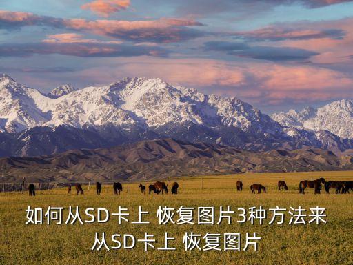 如何從SD卡上 恢復(fù)圖片3種方法來從SD卡上 恢復(fù)圖片