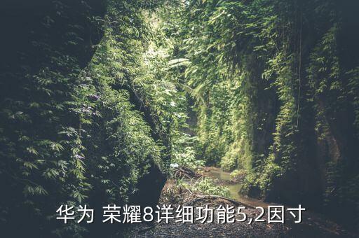  華為 榮耀8詳細(xì)功能5,2因寸