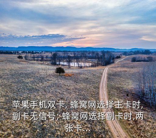 蜂窩移動(dòng)數(shù)據(jù)只有兩個(gè),iphone用不了蜂窩移動(dòng)數(shù)據(jù)
