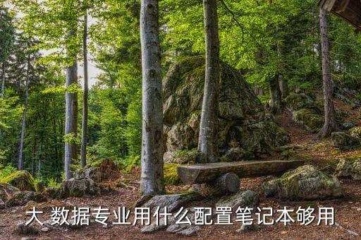 大數(shù)據(jù)開(kāi)發(fā)對(duì)電腦要求