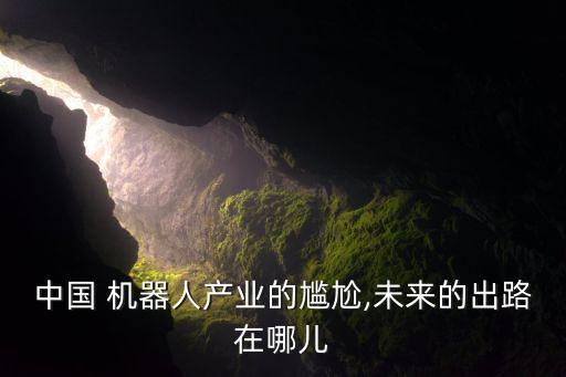 中國 機器人產(chǎn)業(yè)的尷尬,未來的出路在哪兒