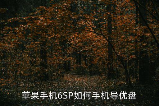 iphone數(shù)據(jù)轉(zhuǎn)移到U盤,手機(jī)數(shù)據(jù)轉(zhuǎn)移到u盤