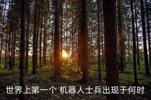 水下排雷機器人發(fā)展史,水下機器人在排雷應(yīng)用中的工作過程