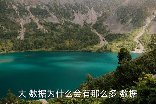 大 數(shù)據(jù)為什么會有那么多 數(shù)據(jù)
