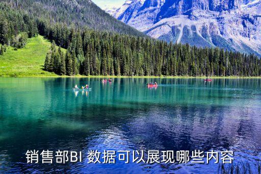 銷售部BI 數(shù)據(jù)可以展現(xiàn)哪些內(nèi)容