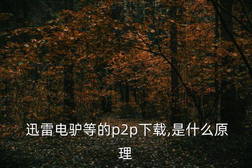  迅雷電驢等的p2p下載,是什么原理