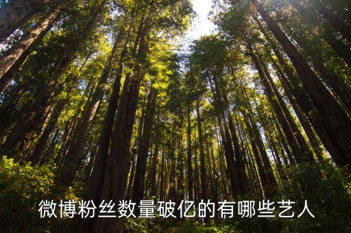 微博關(guān)于明星的數(shù)據(jù),微博怎么給明星做數(shù)據(jù)過程