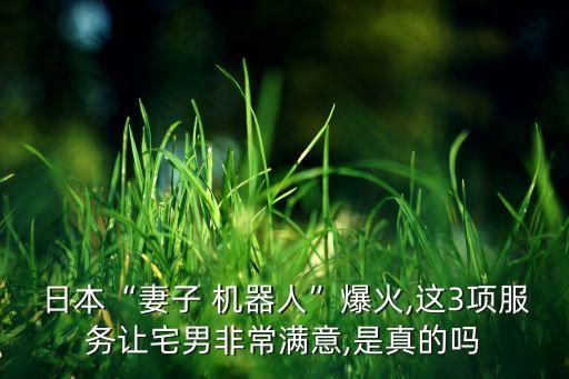日本“妻子 機器人”爆火,這3項服務讓宅男非常滿意,是真的嗎