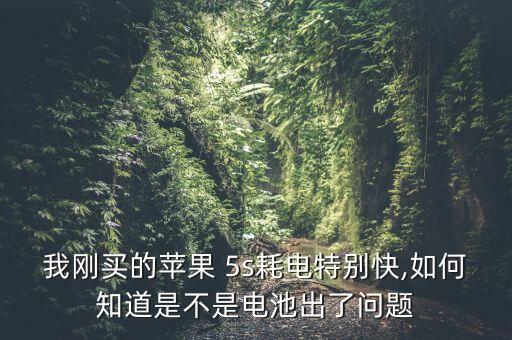 我剛買的蘋(píng)果 5s耗電特別快,如何知道是不是電池出了問(wèn)題