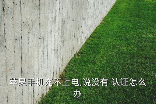 蘋果手機充不上電,說沒有 認證怎么辦