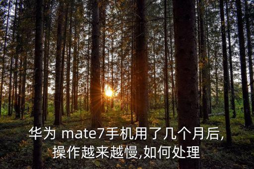 mate7電信數(shù)據(jù)搜索慢