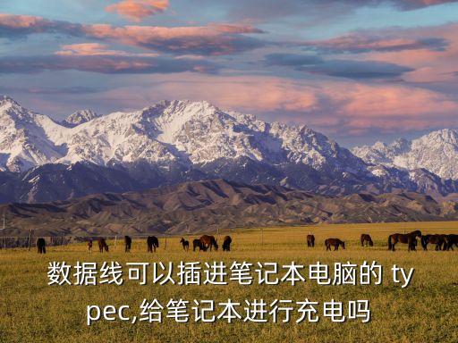  數(shù)據(jù)線可以插進筆記本電腦的 typec,給筆記本進行充電嗎