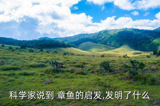 科學(xué)家說(shuō)到 章魚(yú)的啟發(fā),發(fā)明了什么