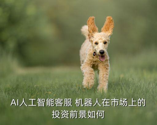 AI人工智能客服 機(jī)器人在市場(chǎng)上的投資前景如何