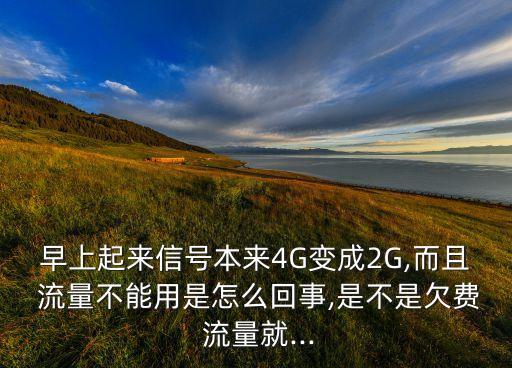 早上起來信號本來4G變成2G,而且 流量不能用是怎么回事,是不是欠費(fèi) 流量就...