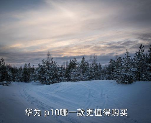  華為 p10哪一款更值得購買