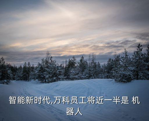 巡邏機(jī)器人多少錢,智能保安巡邏機(jī)器人