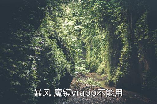 暴風 魔鏡vrapp不能用