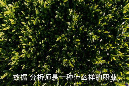  數(shù)據(jù) 分析師是一種什么樣的職業(yè)