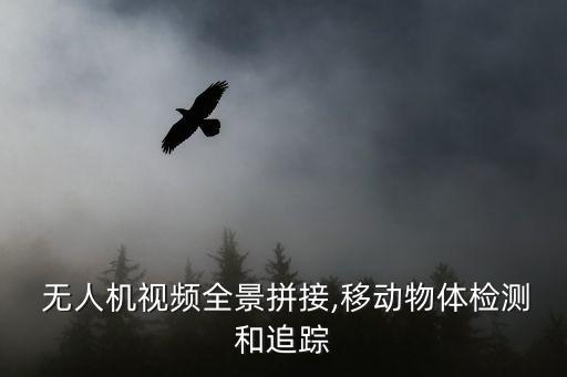 無人機(jī)序列影像航拍數(shù)據(jù)處理流程