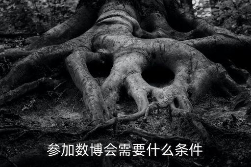 和大數(shù)據(jù)相關(guān)的會議,全國大數(shù)據(jù)會議