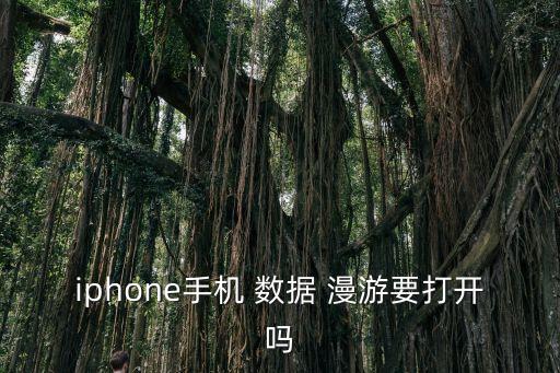 iphone手機(jī) 數(shù)據(jù) 漫游要打開(kāi)嗎