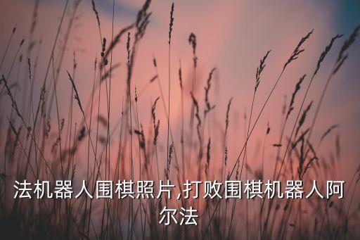 阿爾法機器人圍棋照片,打敗圍棋機器人阿爾法