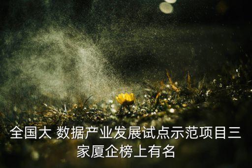 全國大 數(shù)據(jù)產(chǎn)業(yè)發(fā)展試點示范項目三家廈企榜上有名