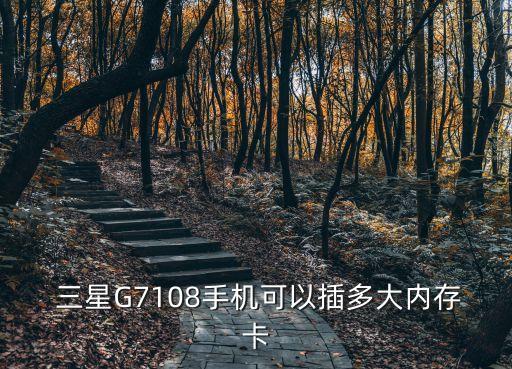 三星G7108手機(jī)可以插多大內(nèi)存卡