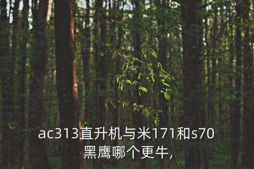 ac313直升機(jī)與米171和s70 黑鷹哪個(gè)更牛,