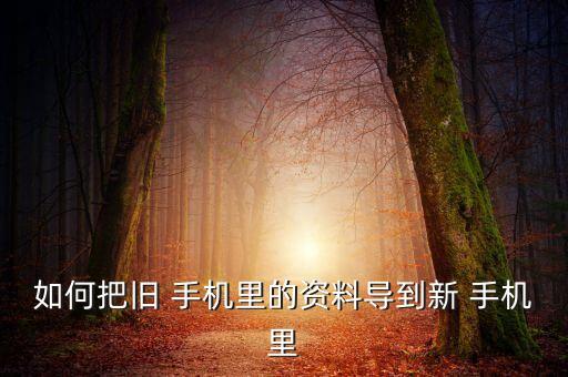 如何把舊 手機里的資料導到新 手機里