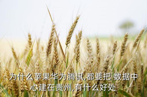 綠色數(shù)據(jù)中心含金量,國(guó)家綠色數(shù)據(jù)中心名單