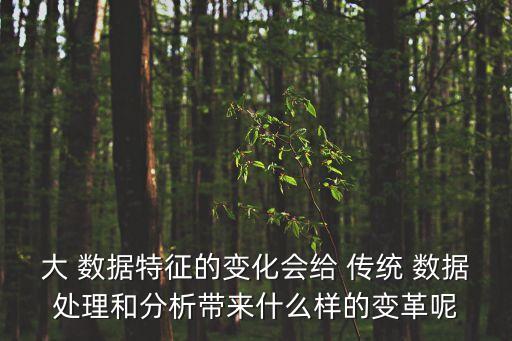 大 數(shù)據(jù)特征的變化會(huì)給 傳統(tǒng) 數(shù)據(jù)處理和分析帶來(lái)什么樣的變革呢