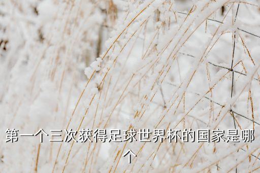 第一個(gè)三次獲得足球世界杯的國(guó)家是哪個(gè)