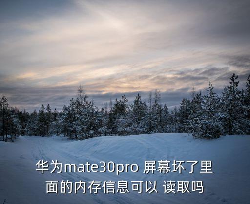 華為mate30pro 屏幕壞了里面的內(nèi)存信息可以 讀取嗎