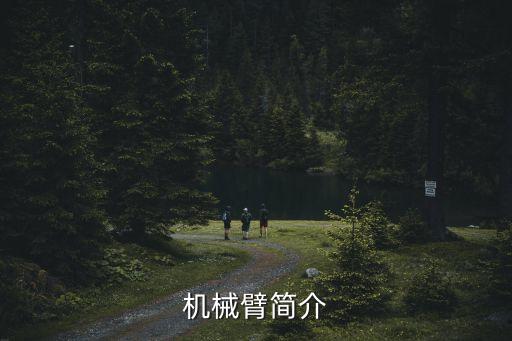 機器人手臂工作模式,abb機器人的工作模式