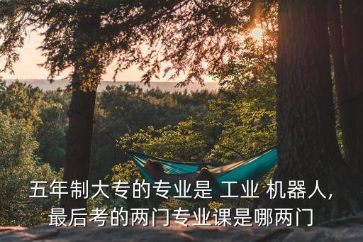 工業(yè)機器人 離線編程