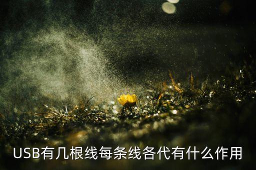 USB有幾根線每條線各代有什么作用
