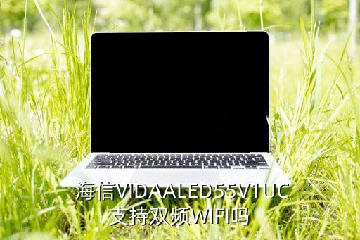大數(shù)據(jù)送海信手機(jī),海信電視怎么手機(jī)推送軟件