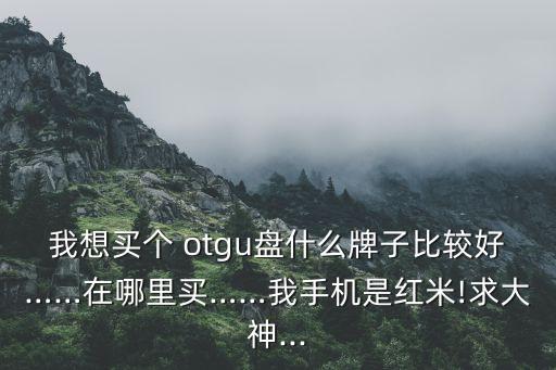 我想買個 otgu盤什么牌子比較好……在哪里買……我手機(jī)是紅米!求大神...