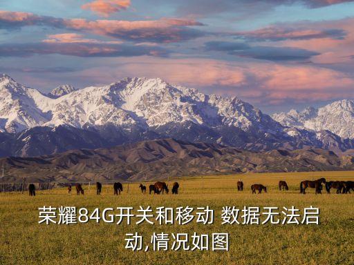  榮耀84G開關(guān)和移動(dòng) 數(shù)據(jù)無法啟動(dòng),情況如圖