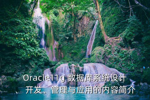 開發(fā) oracle 數據庫,python連接Oracle數據庫