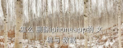 刪除應(yīng)用文稿與數(shù)據(jù)是什么,蘋(píng)果手機(jī)刪除文稿與數(shù)據(jù)是什么意思